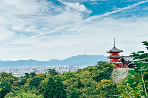 案例分析题 案例分析题