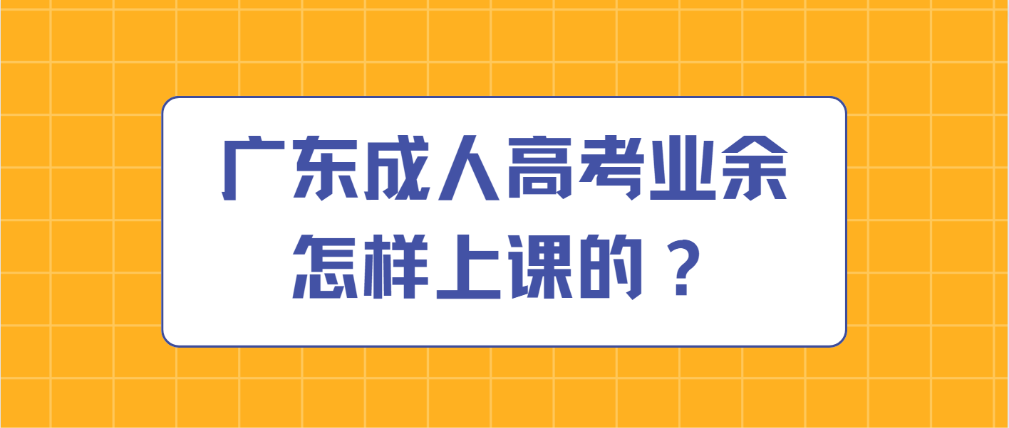 广东成人高考业余怎样上课的？