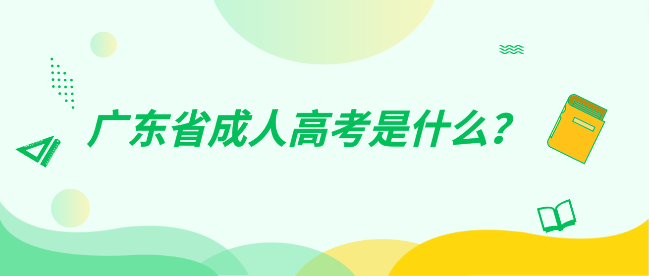 广东省成人高考是什么？