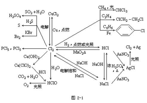 【广东成人高考】2019年高起点化学元素及其化合(图1)