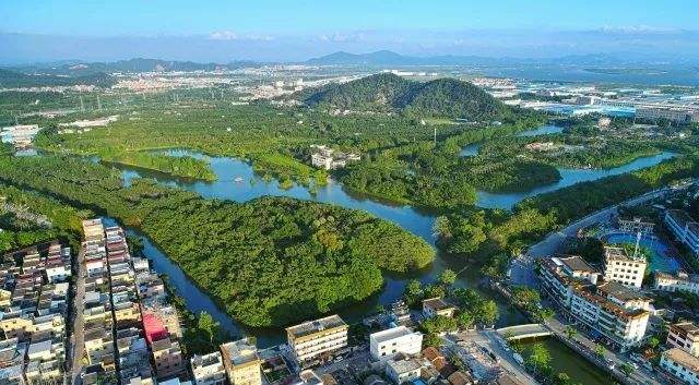 2020年广东省江门市【新会区】成考报名时间条件(图1) 2020年广东省江门市【新会区】成考报名时间条件(图1)