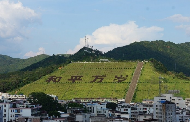 2020年广东省河源市【和平县】成考预报名时间(图1)