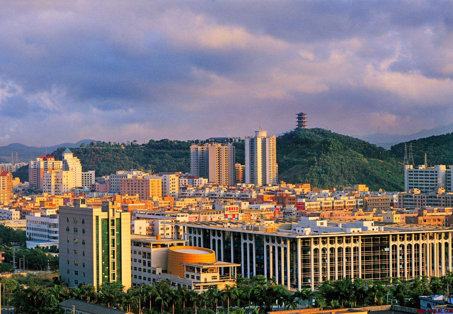 2020年广东东莞【凤岗镇】成考报考指南(图1)